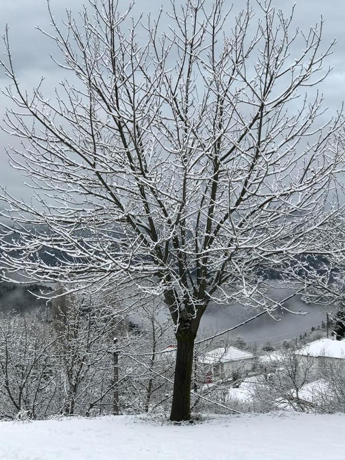 Mikro Katafygio Stavli Exteriér fotografie